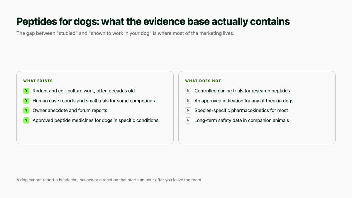 Peptides for dogs: what the evidence base contains and what it does not, including no controlled canine trials