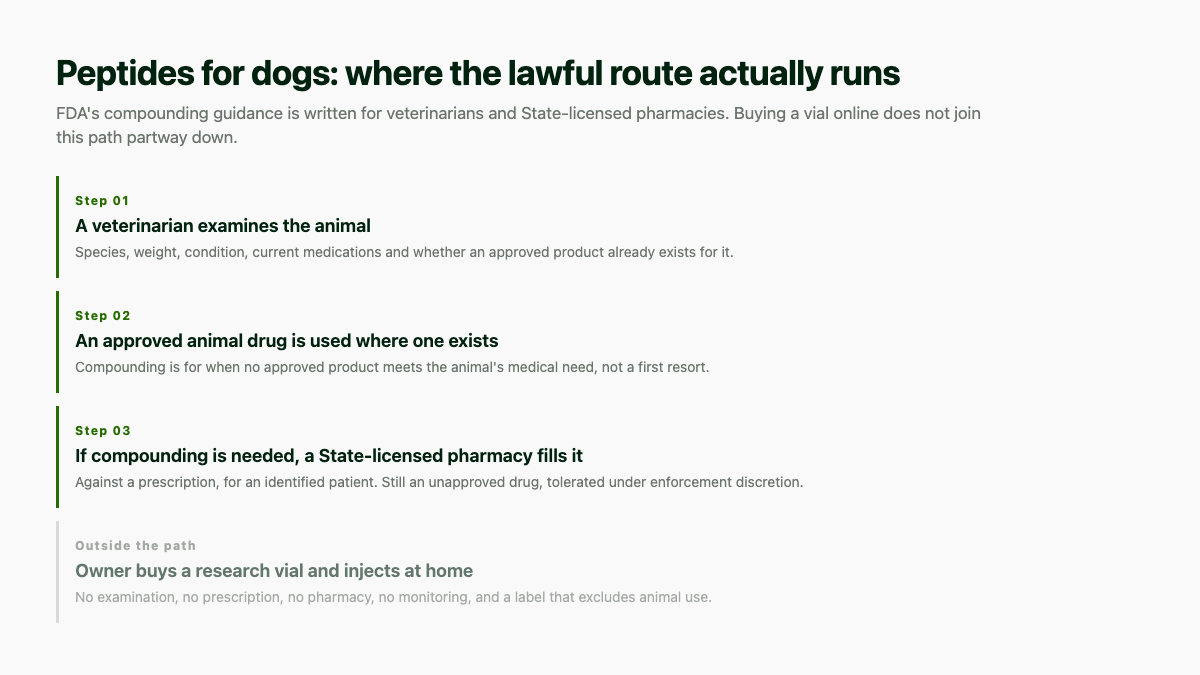 Peptides for dogs: the lawful route from veterinary exam to a State-licensed compounding pharmacy