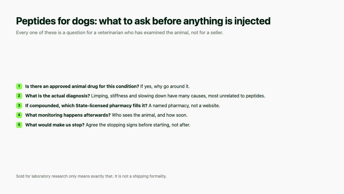 Peptides for dogs: five questions to ask a veterinarian before anything is injected
