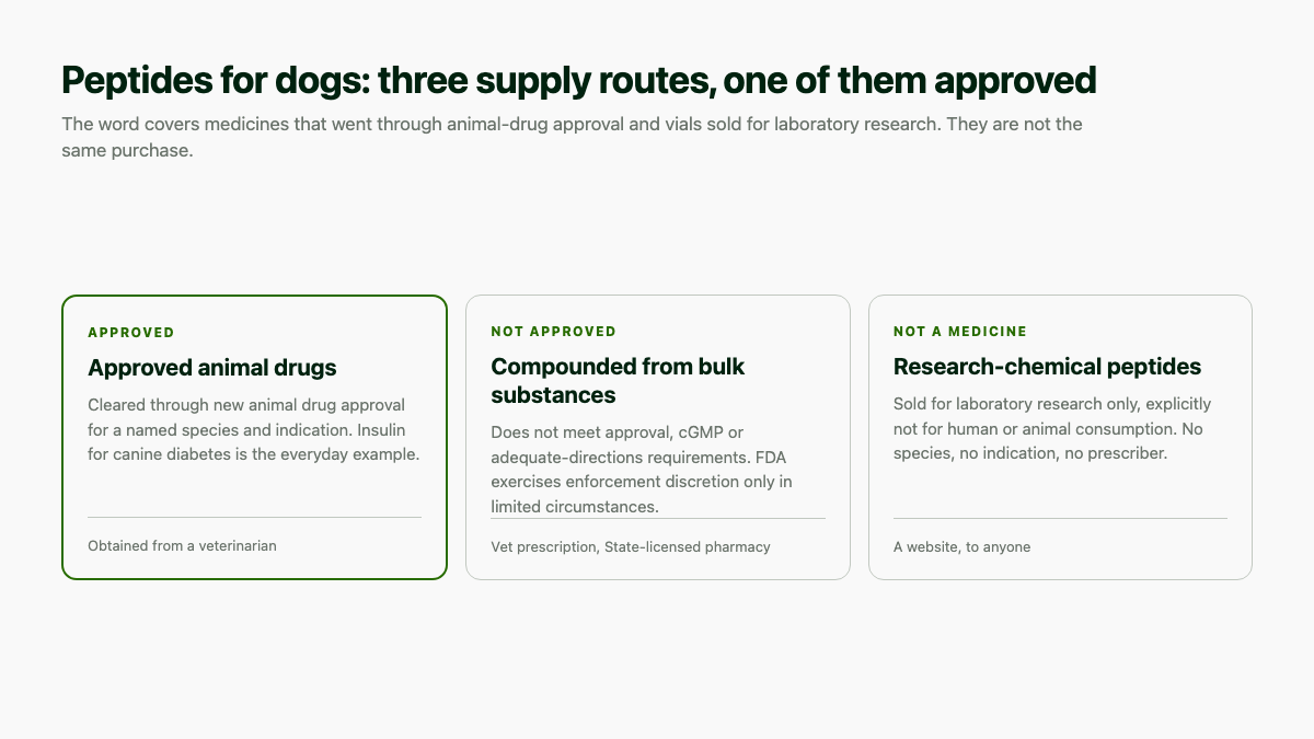 Peptides for dogs: the three supply routes compared, with only approved animal drugs cleared for use